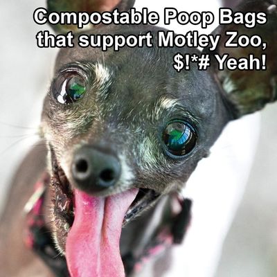 El bolso del impulso recicló el bolso biodegradable 2020 del impulso del perro del olor de los bolsos del poo del perrito de los productos del animal doméstico 9x13